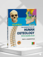 The Essentials of Human Osteology - Image 2