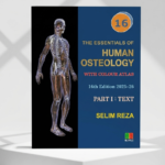 The Essentials of Human Osteology