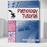 Pathology Tutorial