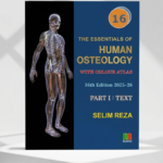 The Essentials of Human Osteology